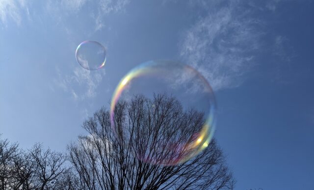 soap-bubbles-fly